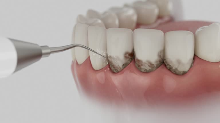 Reliable Dental contractor in Tazewell County County, VA by Dentist Open Now